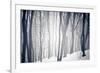 Winter Forest-Alexey Rumyantsev-Framed Photographic Print