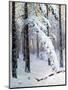 Winter Forest-Konstantin Yakovlevich Kryzhitsky-Mounted Giclee Print