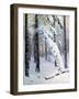 Winter Forest-Konstantin Yakovlevich Kryzhitsky-Framed Giclee Print