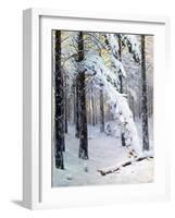 Winter Forest-Konstantin Yakovlevich Kryzhitsky-Framed Giclee Print