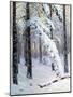 Winter Forest-Konstantin Yakovlevich Kryzhitsky-Mounted Giclee Print