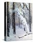 Winter Forest-Konstantin Yakovlevich Kryzhitsky-Stretched Canvas