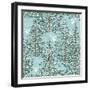 Winter Forest-Milovelen-Framed Art Print