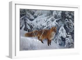 Winter Fox, 1904-Bruno Andreas Liljefors-Framed Giclee Print