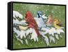 Winter Friends-William Vanderdasson-Framed Stretched Canvas