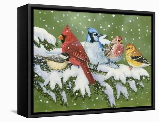 Winter Friends-William Vanderdasson-Framed Stretched Canvas