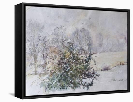 Winter from Our Window, 2009-Caroline Hervey-Bathurst-Framed Stretched Canvas