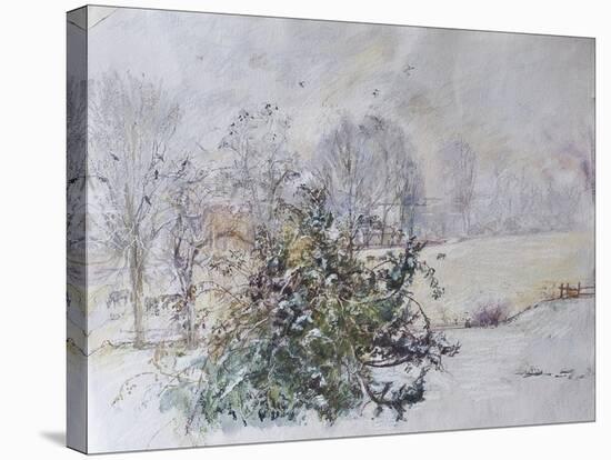 Winter from Our Window, 2009-Caroline Hervey-Bathurst-Stretched Canvas