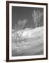 Winter Frost 1-Gordon Semmens-Framed Photographic Print