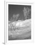 Winter Frost 1-Gordon Semmens-Framed Photographic Print