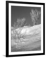 Winter Frost 1-Gordon Semmens-Framed Photographic Print