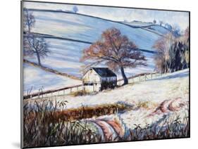 Winter Frost, 2009-Tilly Willis-Mounted Giclee Print