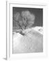 Winter Frost 2-Gordon Semmens-Framed Photographic Print