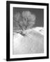 Winter Frost 2-Gordon Semmens-Framed Photographic Print
