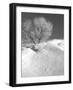 Winter Frost 2-Gordon Semmens-Framed Photographic Print