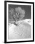 Winter Frost 2-Gordon Semmens-Framed Photographic Print