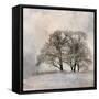 Winter Frost 2-Kimberly Allen-Framed Stretched Canvas