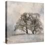 Winter Frost 2-Kimberly Allen-Stretched Canvas