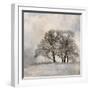 Winter Frost 2-Kimberly Allen-Framed Art Print