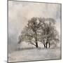 Winter Frost 2-Kimberly Allen-Mounted Art Print