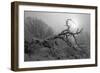 Winter Frost 5-Gordon Semmens-Framed Photographic Print