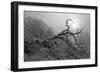 Winter Frost 5-Gordon Semmens-Framed Photographic Print