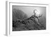Winter Frost 5-Gordon Semmens-Framed Photographic Print