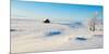 Winter frost covers a ranch in the interior of British Columbia-Richard Wright-Mounted Photographic Print