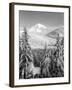 Winter Frost Trees on Mt. Hood, Mt Hood National Forest, Oregon, USA-Stuart Westmorland-Framed Photographic Print