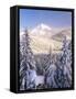 Winter Frost Trees on Mt. Hood, Mt Hood National Forest, Oregon, USA-Stuart Westmorland-Framed Stretched Canvas