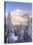 Winter Frost Trees on Mt. Hood, Mt Hood National Forest, Oregon, USA-Stuart Westmorland-Stretched Canvas