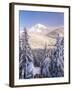 Winter Frost Trees on Mt. Hood, Mt Hood National Forest, Oregon, USA-Stuart Westmorland-Framed Premium Photographic Print