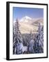 Winter Frost Trees on Mt. Hood, Mt Hood National Forest, Oregon, USA-Stuart Westmorland-Framed Premium Photographic Print