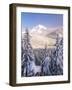 Winter Frost Trees on Mt. Hood, Mt Hood National Forest, Oregon, USA-Stuart Westmorland-Framed Photographic Print