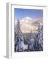 Winter Frost Trees on Mt. Hood, Mt Hood National Forest, Oregon, USA-Stuart Westmorland-Framed Photographic Print