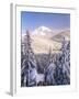 Winter Frost Trees on Mt. Hood, Mt Hood National Forest, Oregon, USA-Stuart Westmorland-Framed Photographic Print