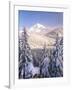 Winter Frost Trees on Mt. Hood, Mt Hood National Forest, Oregon, USA-Stuart Westmorland-Framed Photographic Print