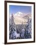 Winter Frost Trees on Mt. Hood, Mt Hood National Forest, Oregon, USA-Stuart Westmorland-Framed Photographic Print