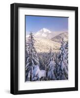 Winter Frost Trees on Mt. Hood, Mt Hood National Forest, Oregon, USA-Stuart Westmorland-Framed Photographic Print