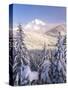 Winter Frost Trees on Mt. Hood, Mt Hood National Forest, Oregon, USA-Stuart Westmorland-Stretched Canvas