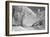 Winter Frost-Gordon Semmens-Framed Photographic Print