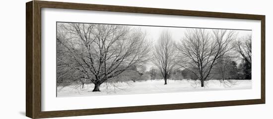 Winter Garden #1-Alan Blaustein-Framed Photographic Print