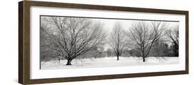 Winter Garden #1-Alan Blaustein-Framed Photographic Print