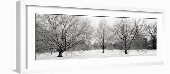 Winter Garden #1-Alan Blaustein-Framed Photographic Print