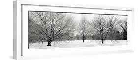 Winter Garden #1-Alan Blaustein-Framed Photographic Print