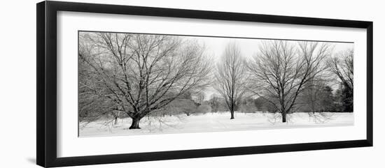 Winter Garden I-Alan Blaustein-Framed Photographic Print