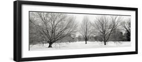 Winter Garden I-Alan Blaustein-Framed Photographic Print