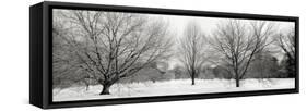 Winter Garden I-Alan Blaustein-Framed Stretched Canvas