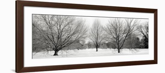 Winter Garden I-Alan Blaustein-Framed Photographic Print