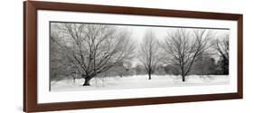 Winter Garden I-Alan Blaustein-Framed Photographic Print